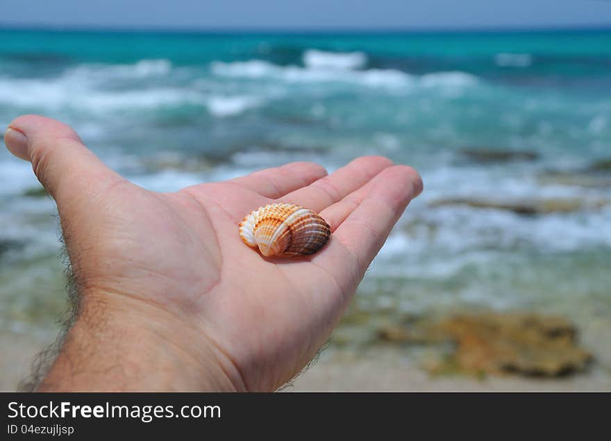 The hand with the seashell as a symbol of the sea  outstretched towards the sea. The hand with the seashell as a symbol of the sea  outstretched towards the sea