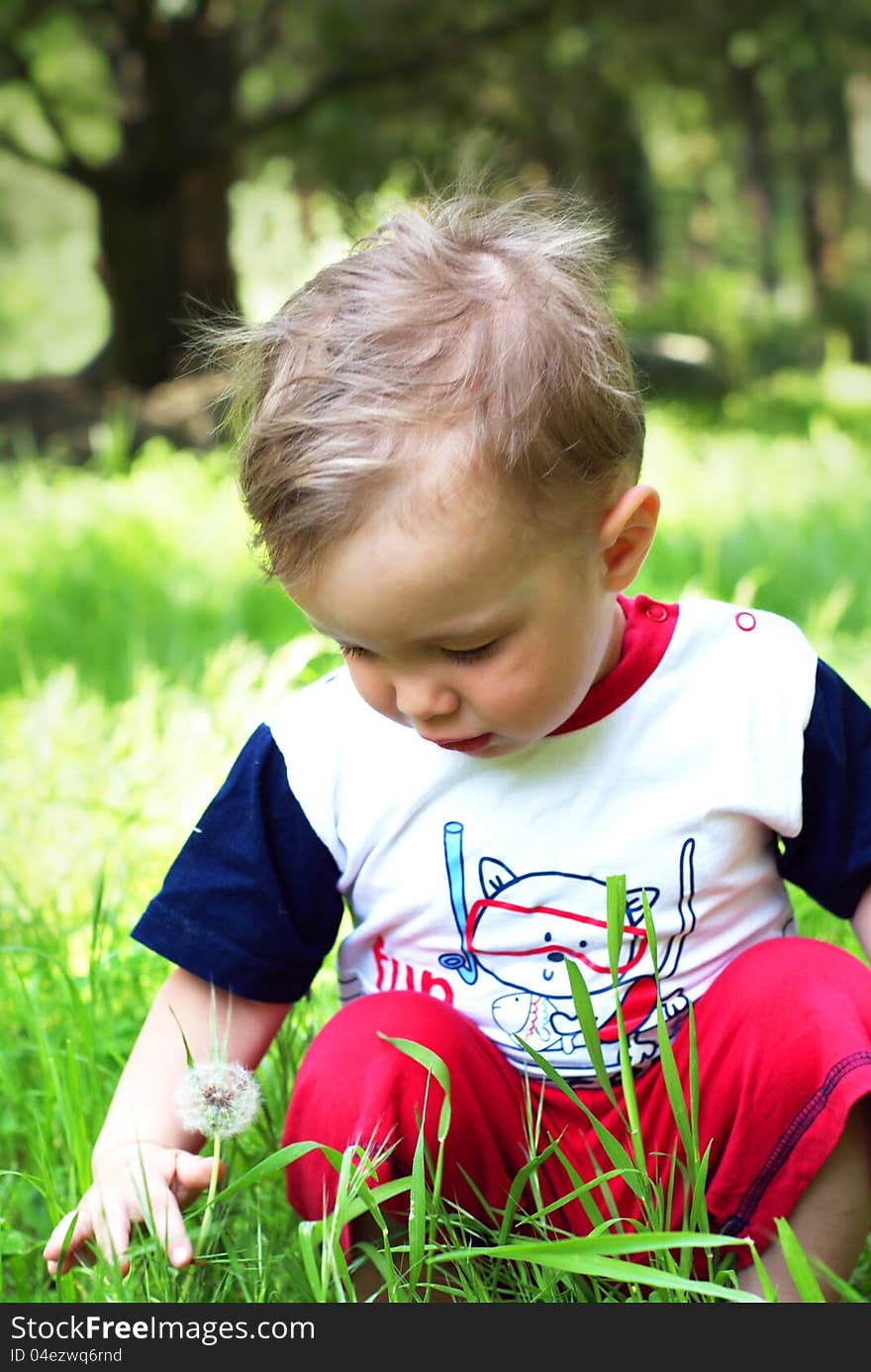 Boy walk in the park with flowers. Boy walk in the park with flowers