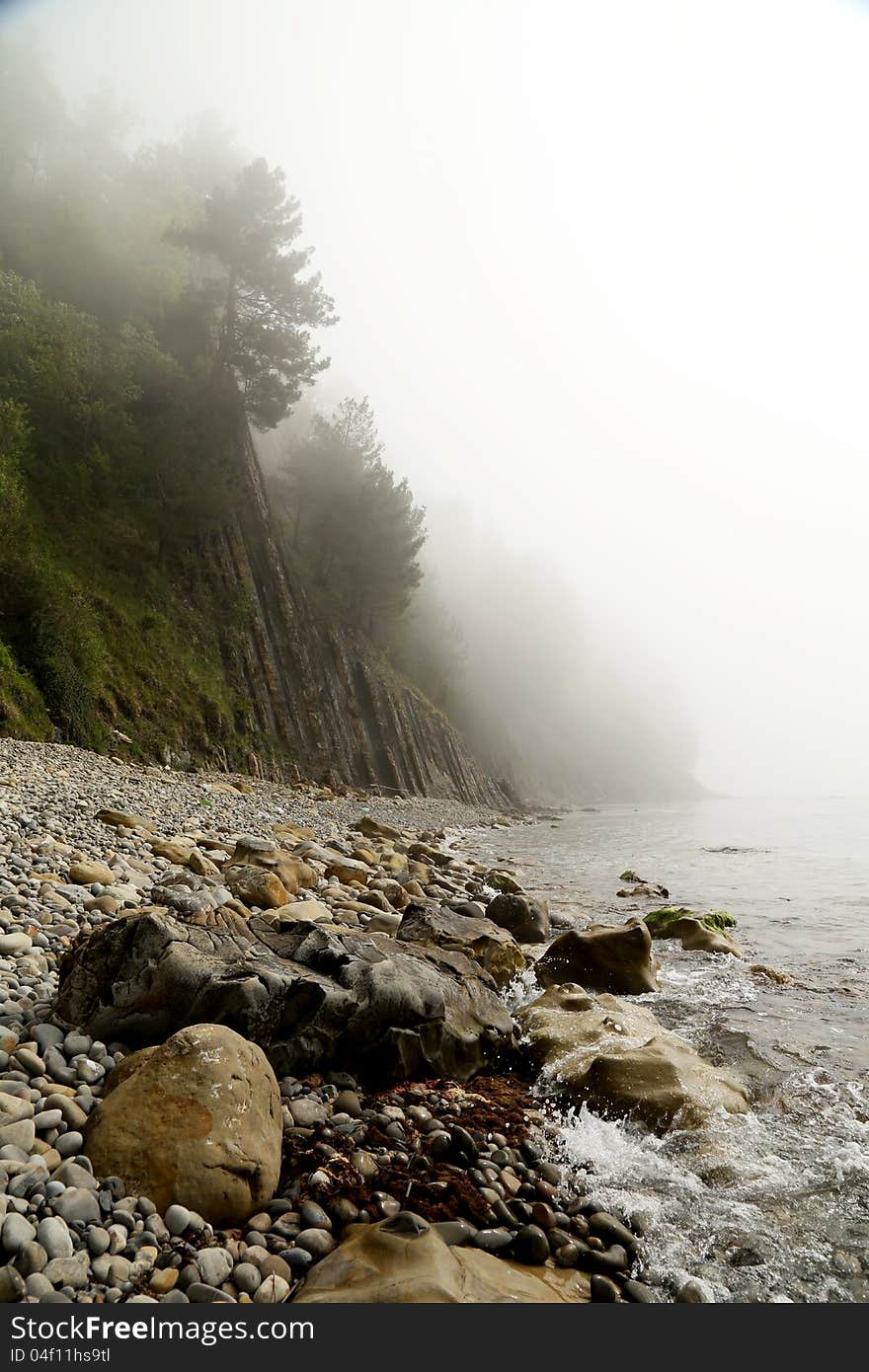 Beach in the fog, spruce forest on the rocks. Beach in the fog, spruce forest on the rocks