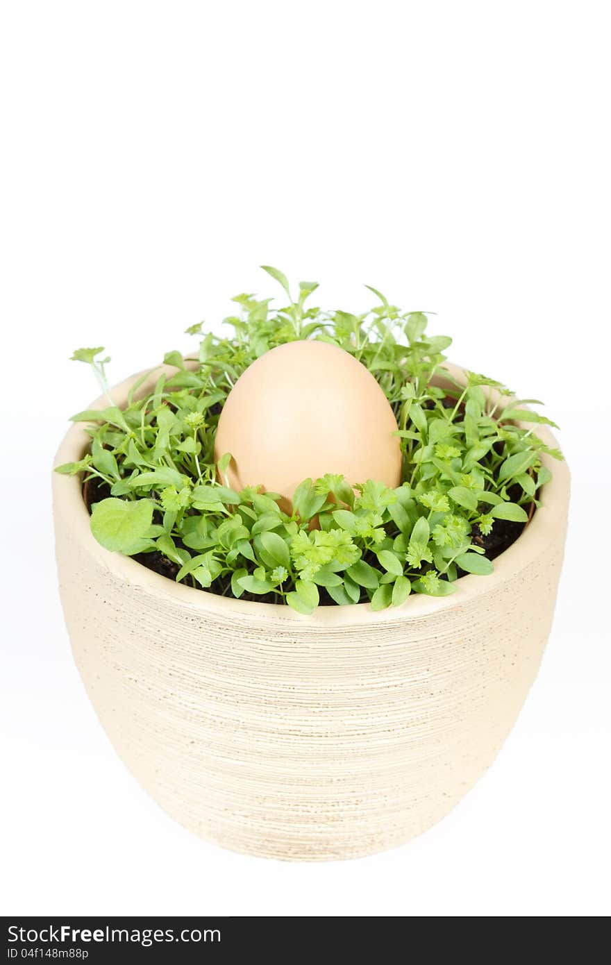 Spring vegetable with easter egg in ceramic pot on a white background