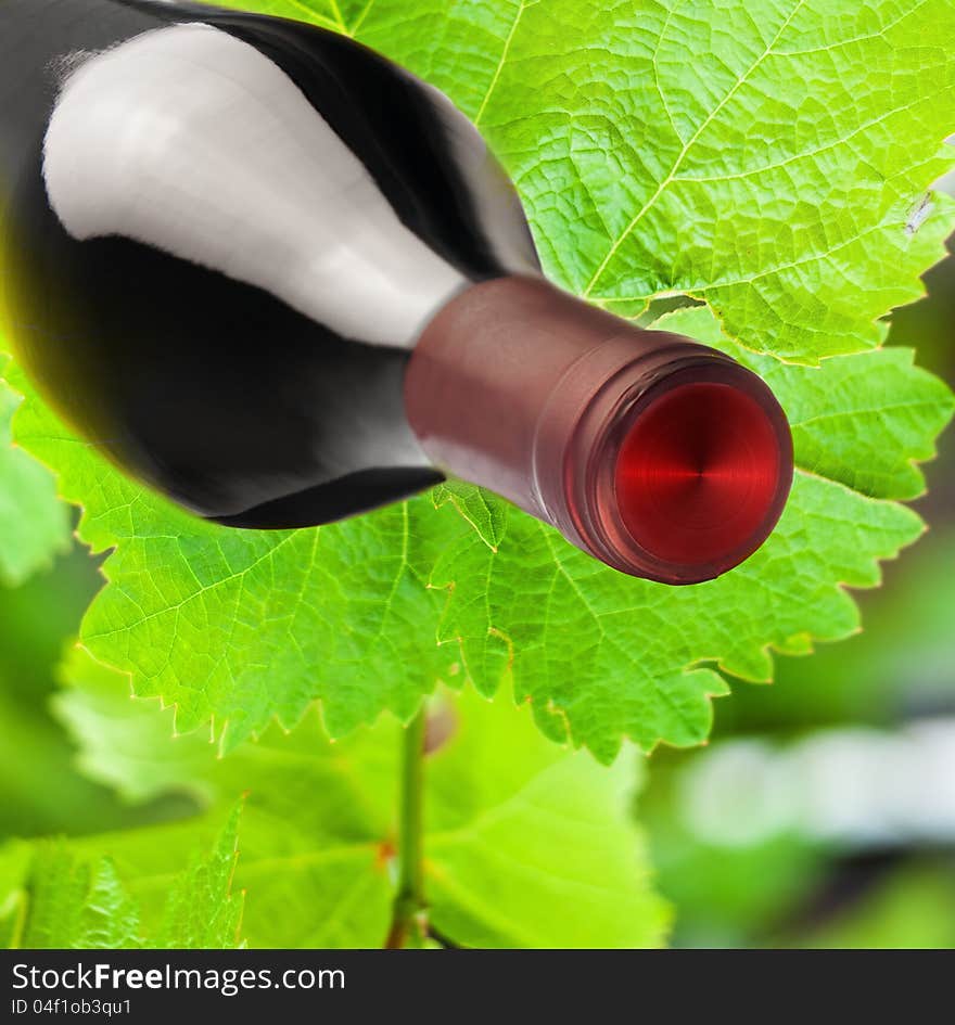 Wine composition: vine leaves and a bottle of wine