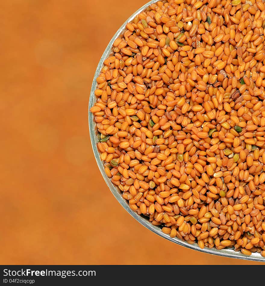 Close-up of flixweed seeds on teaspoon