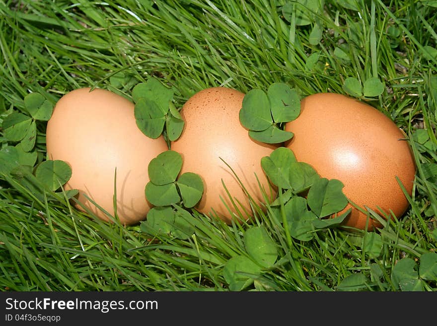 Easter eggs on a green grass.  Easter