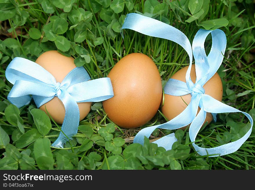 Easter eggs on a green grass. Easter