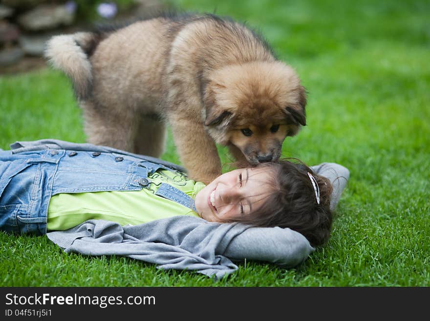 Cute Elo (German dog breed) puppy licks a beautiful young girl at the head and the girl is laughing. Cute Elo (German dog breed) puppy licks a beautiful young girl at the head and the girl is laughing