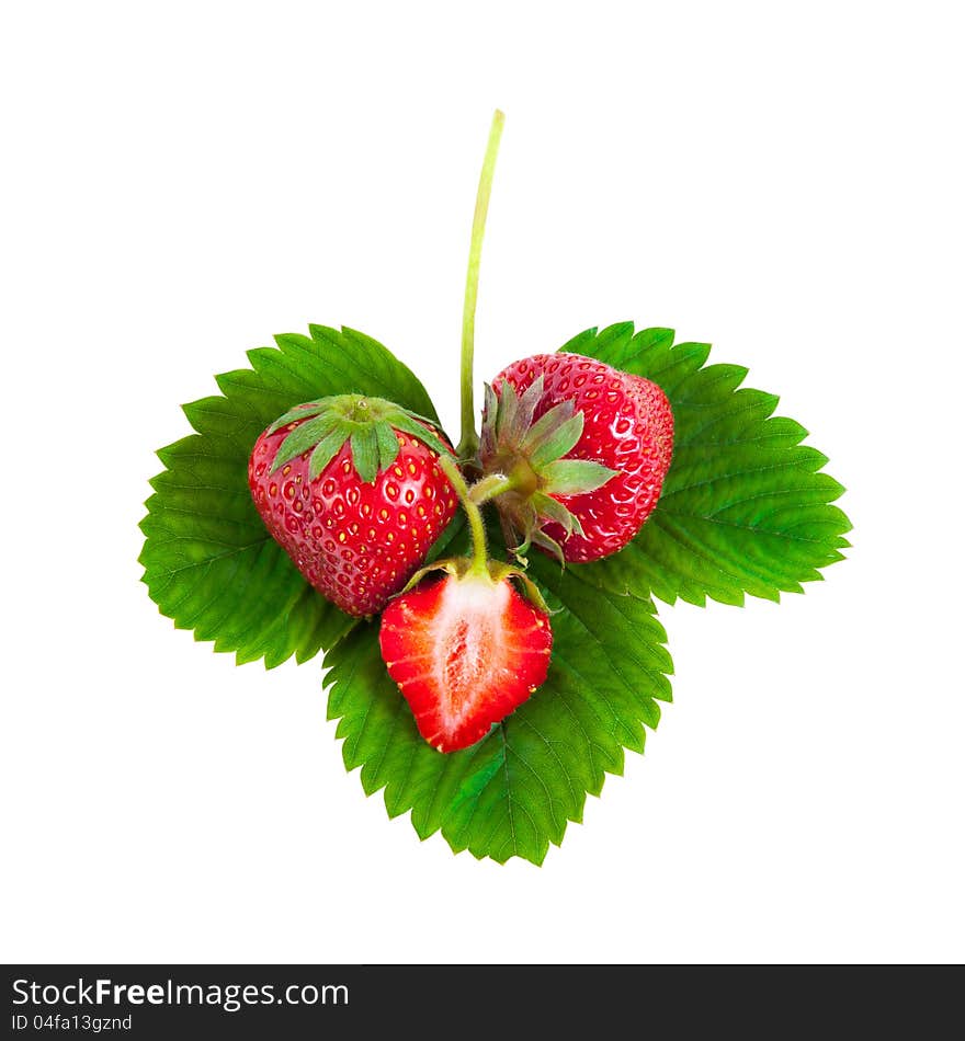 Strawberries On Green Leaves