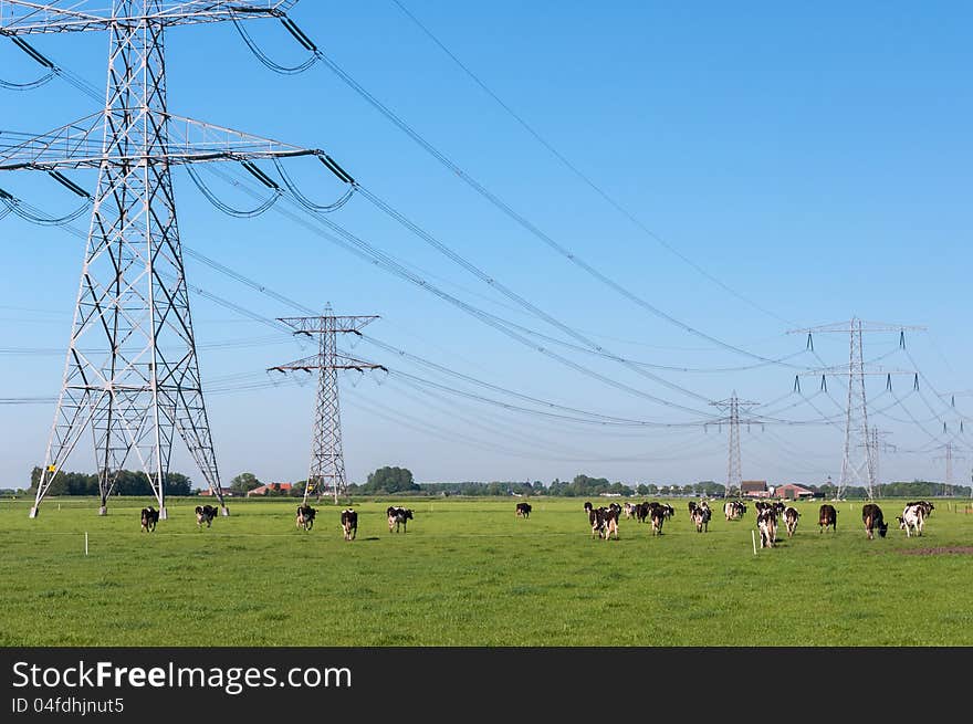 Dutch landscape with grazing cows below the high-voltage cables and between the high-voltage masts. Dutch landscape with grazing cows below the high-voltage cables and between the high-voltage masts.