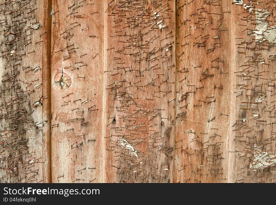 Old wood texture