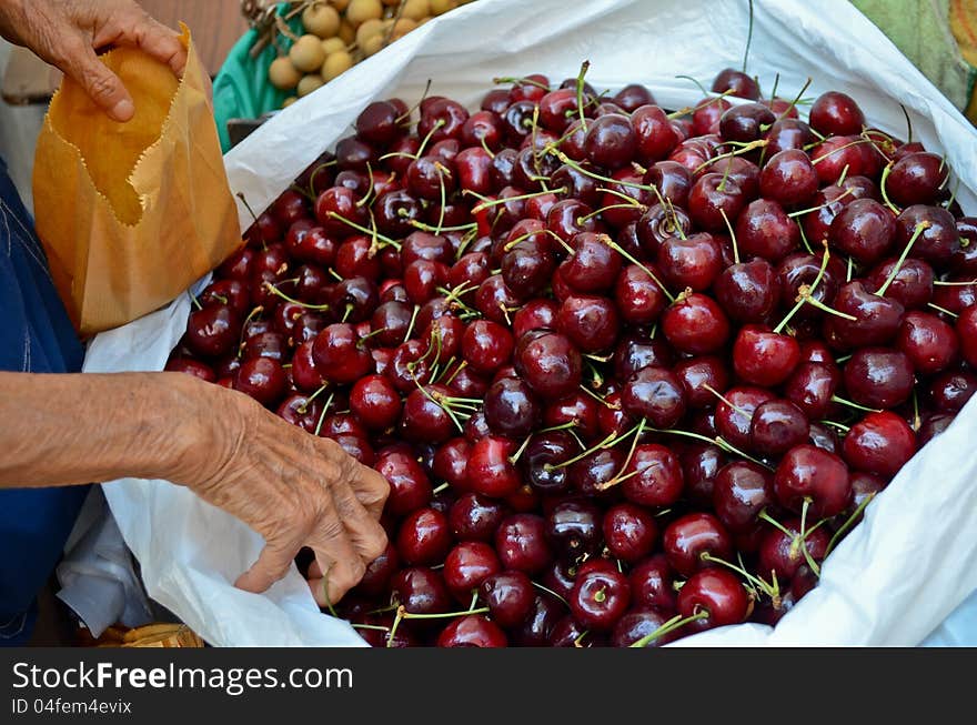 Old woman picking cherry and out in the bag. Old woman picking cherry and out in the bag