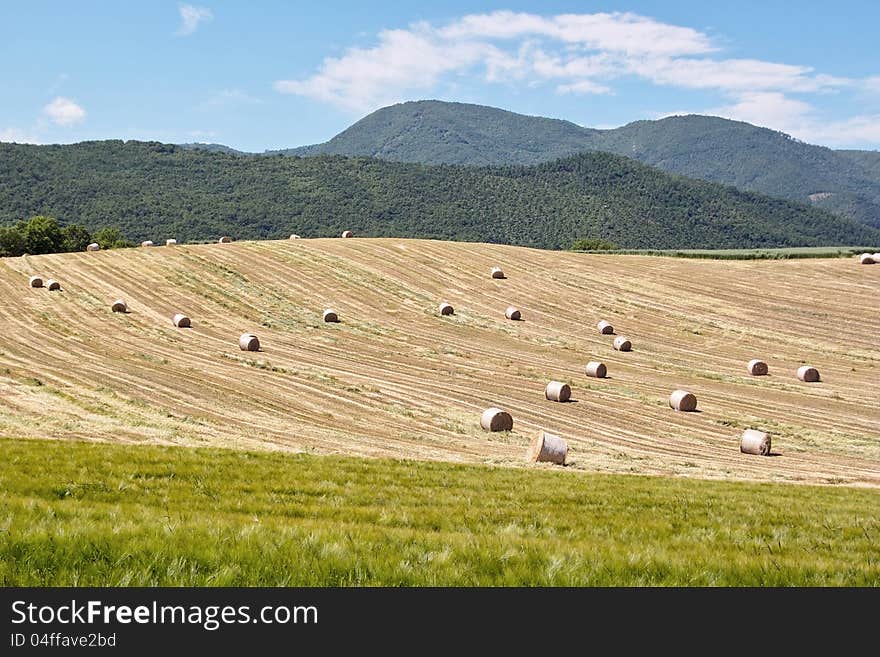 Spring haymaking