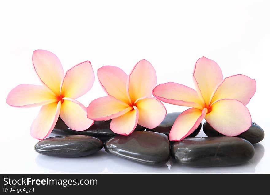 Zen stones with frangipani on white background. Zen stones with frangipani on white background.