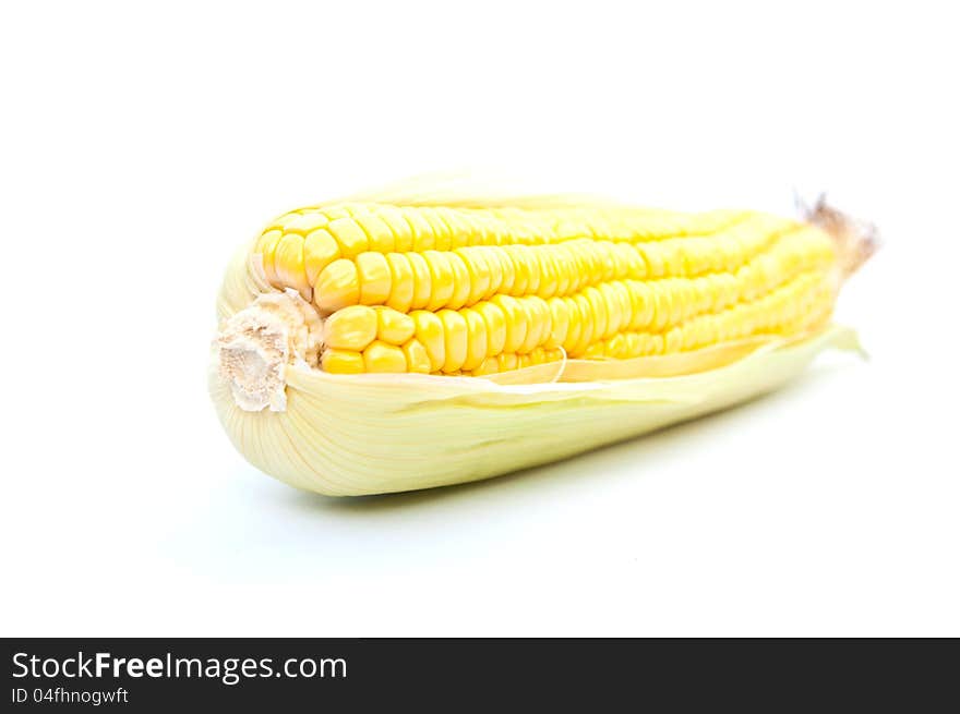 Corn isolated on a white background