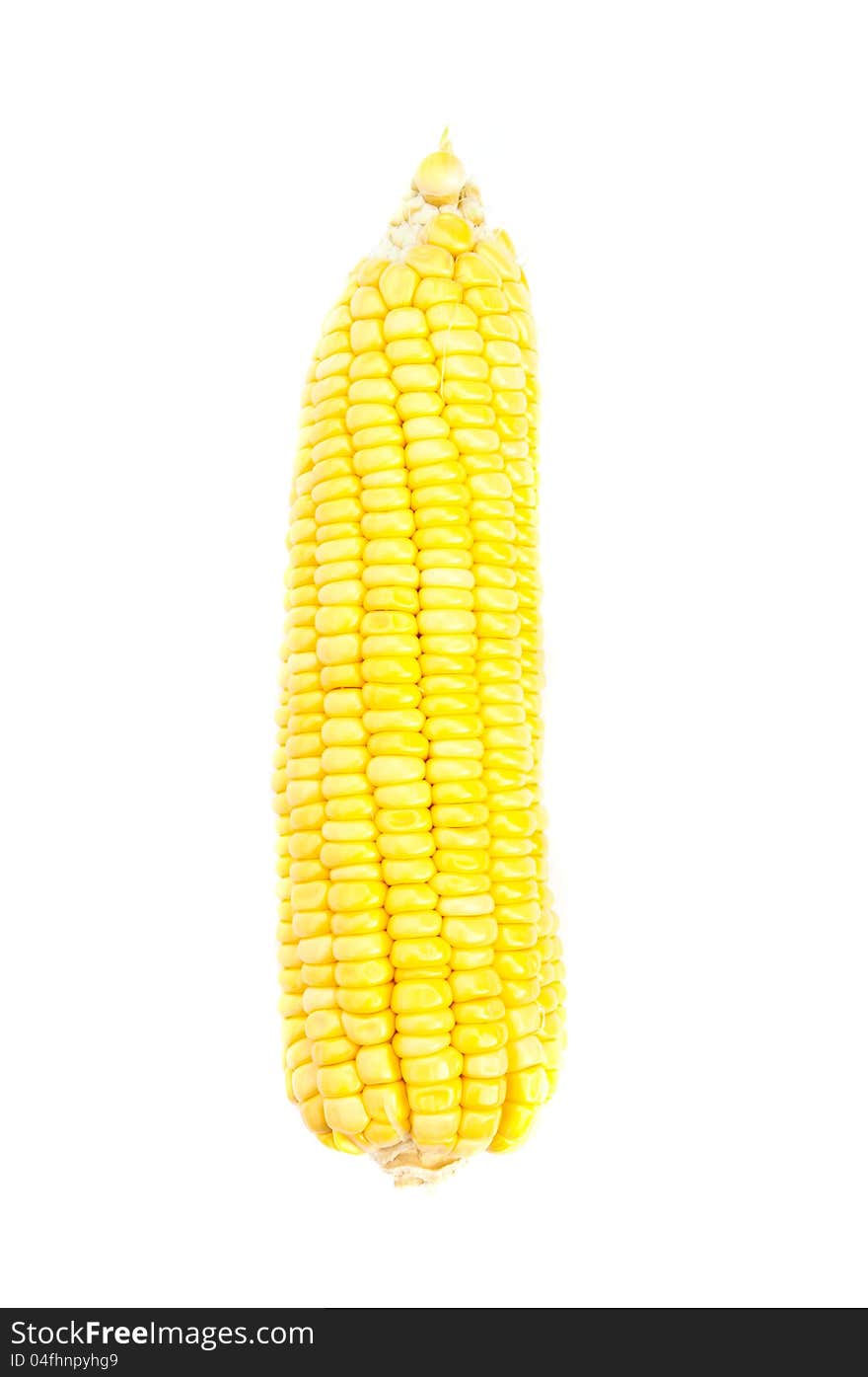 Corn isolated on a white background