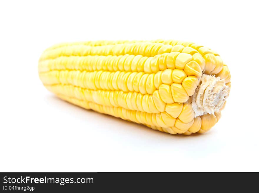 Corn on a white background