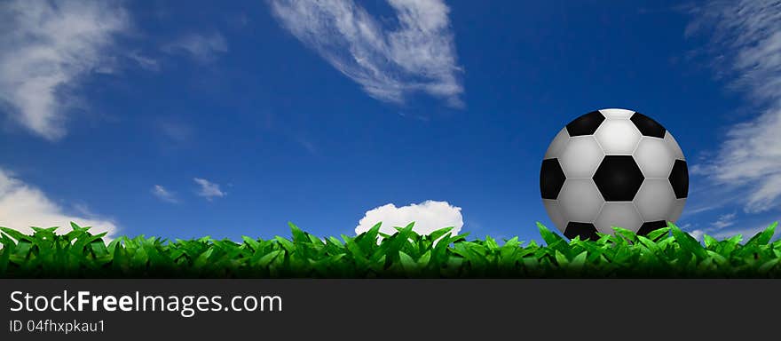 Soccer football on grass field