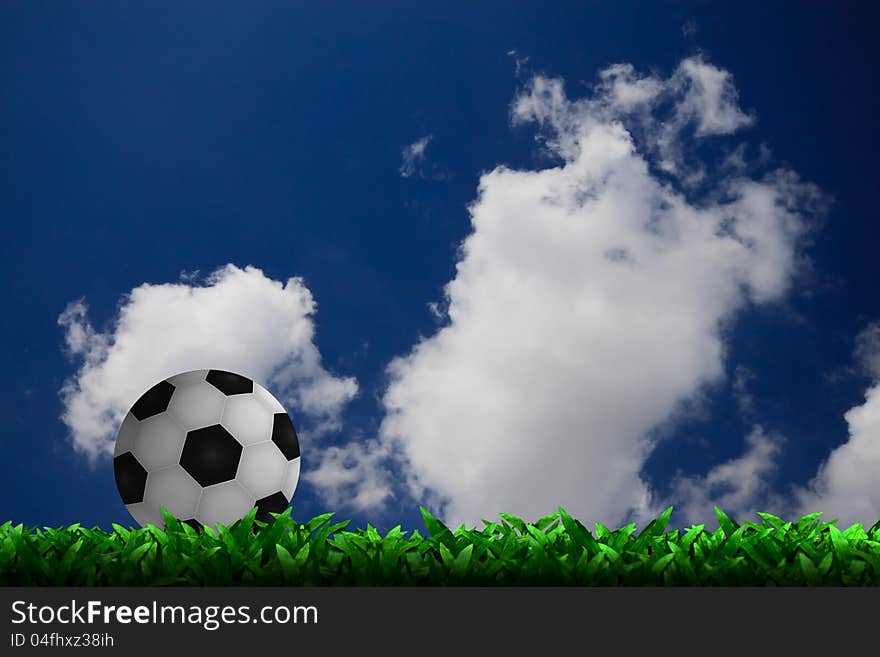 Soccer football on grass field