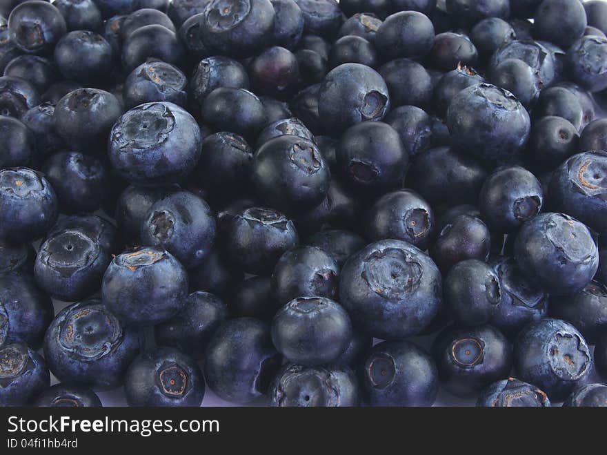 Lots of blueberries