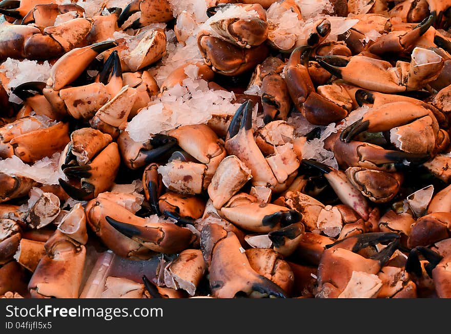 Red Crab claws on ice