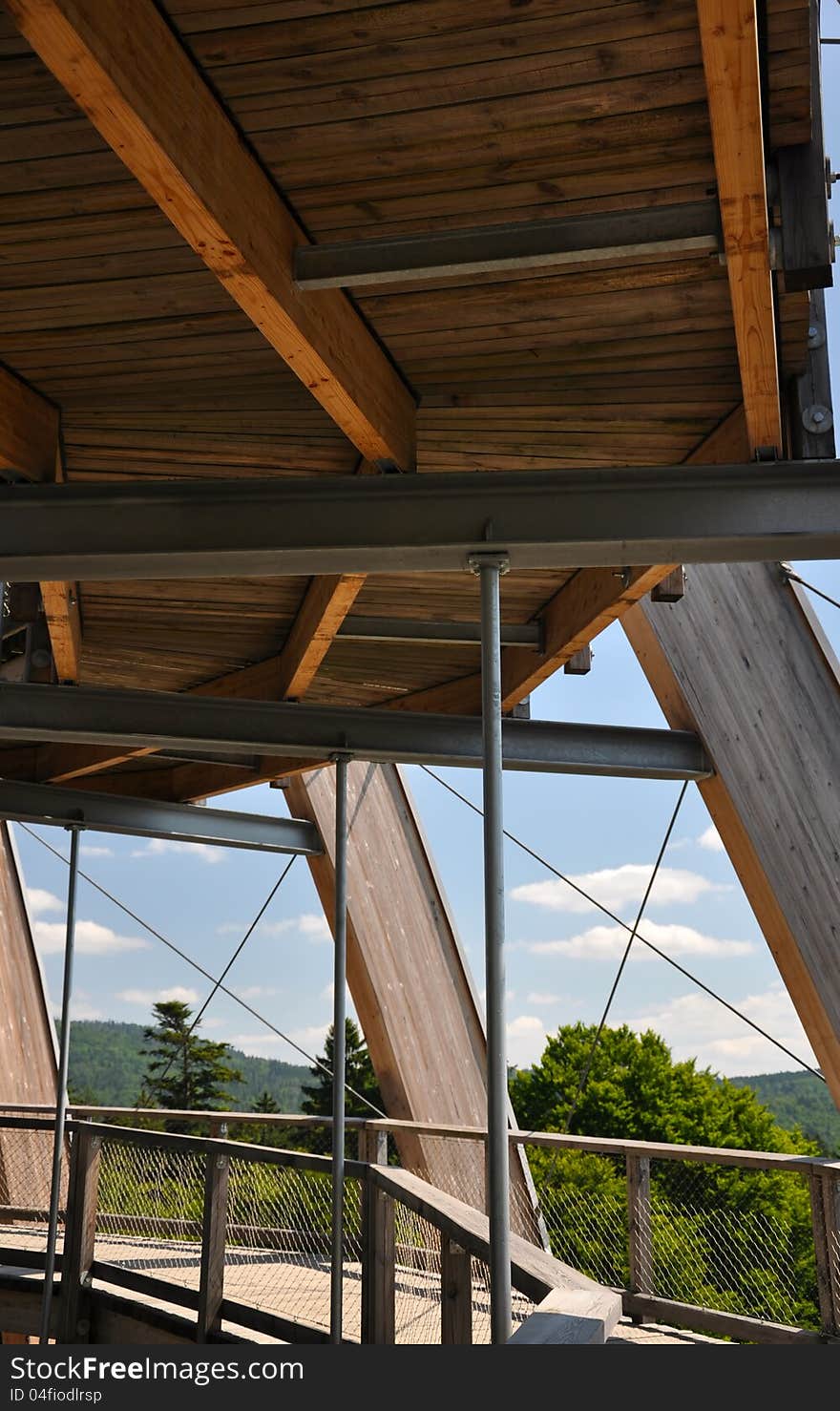 Tree top walk observatory, bavarian national park