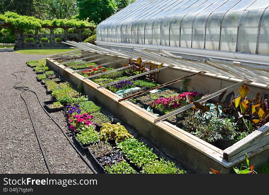 Glass frames at side of greenhouse. Glass frames at side of greenhouse