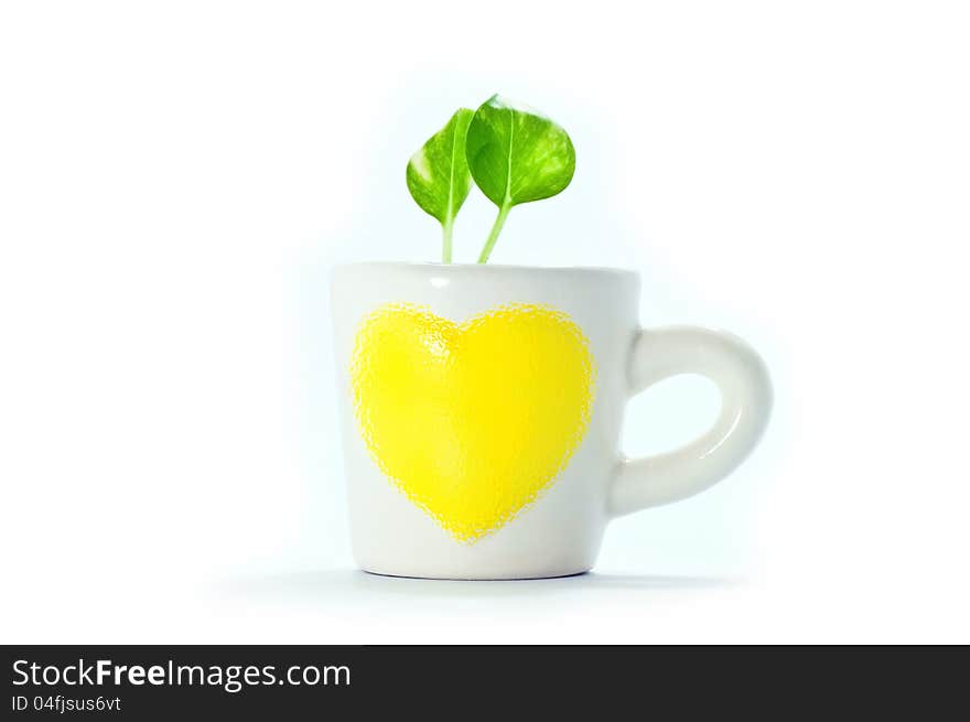 Plants in cup of heart with white background.