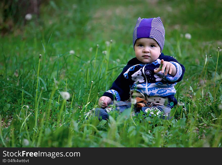 A child in dandelions