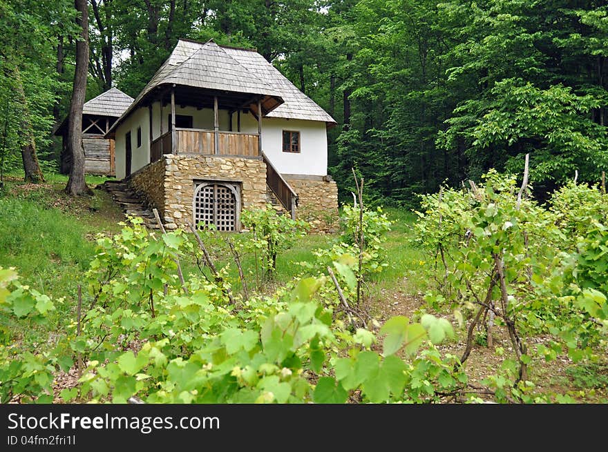 Wood Homestead Forest