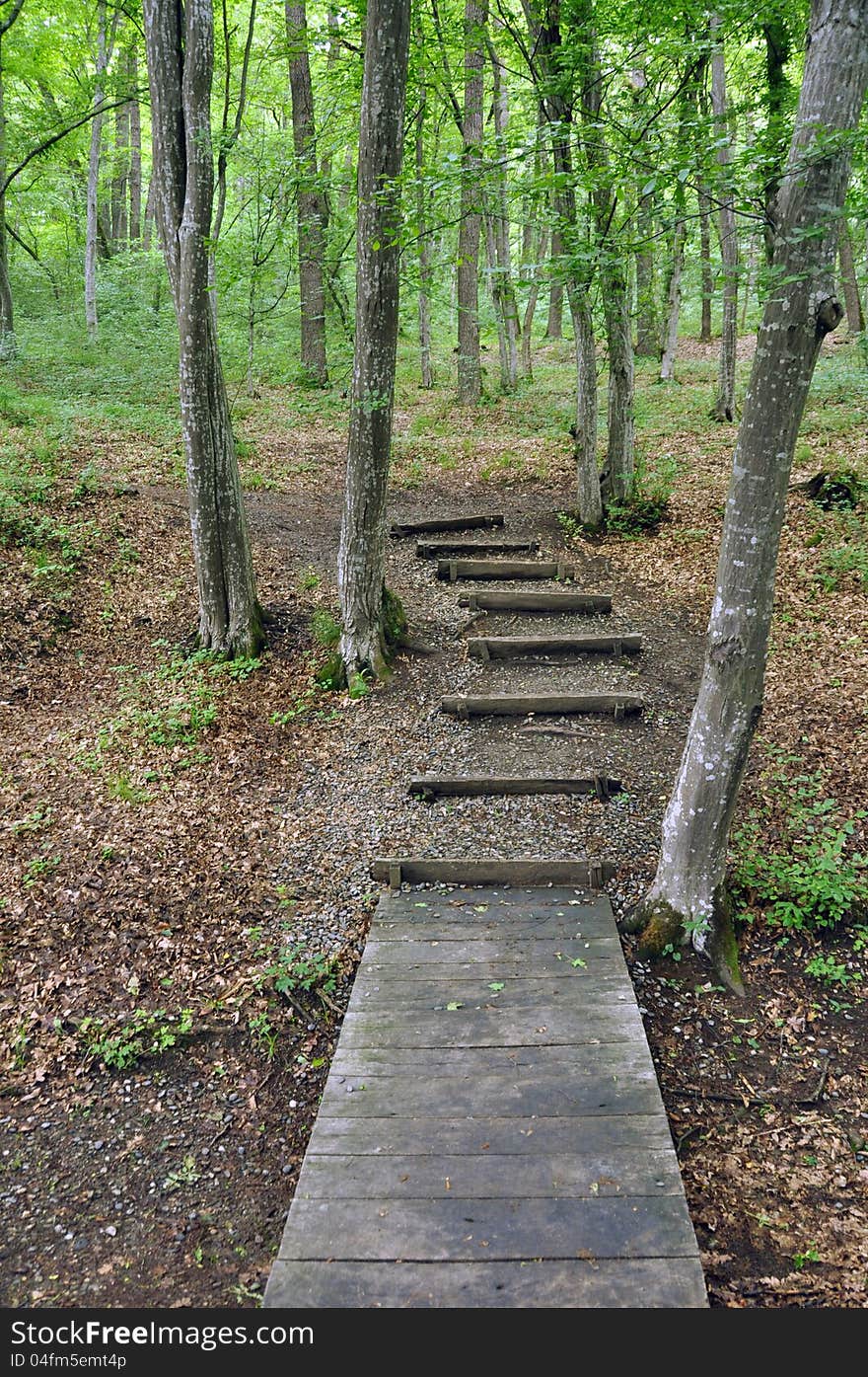 Stone stairs through the forest. Stone stairs through the forest