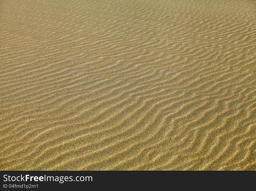 Texture of sand rippled with the wind. Texture of sand rippled with the wind