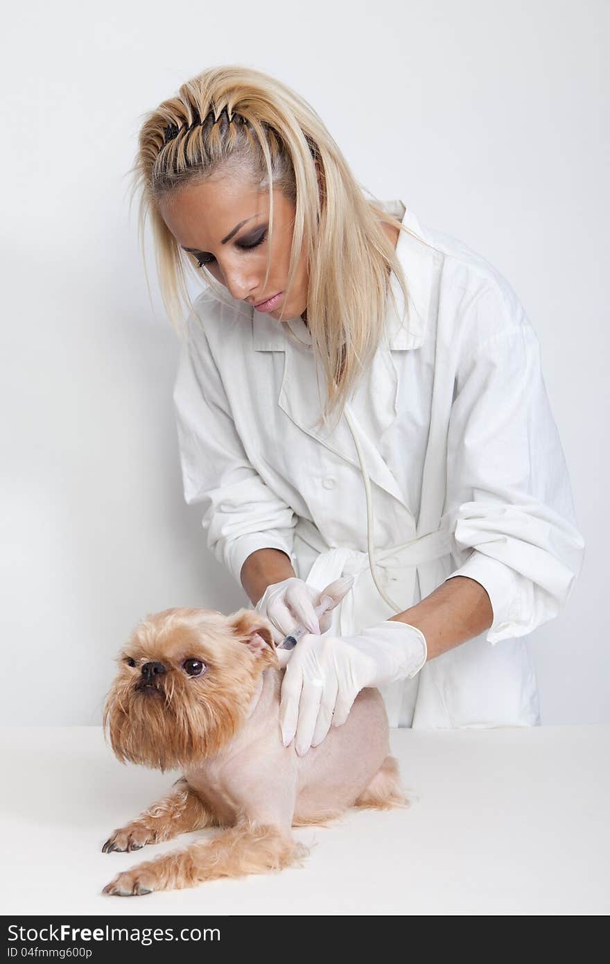 Women - veterinary doctor of doing an injection of dog