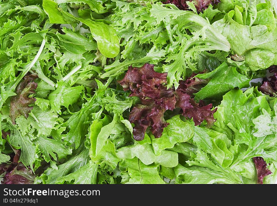 Pile of fresh green lettuce mix