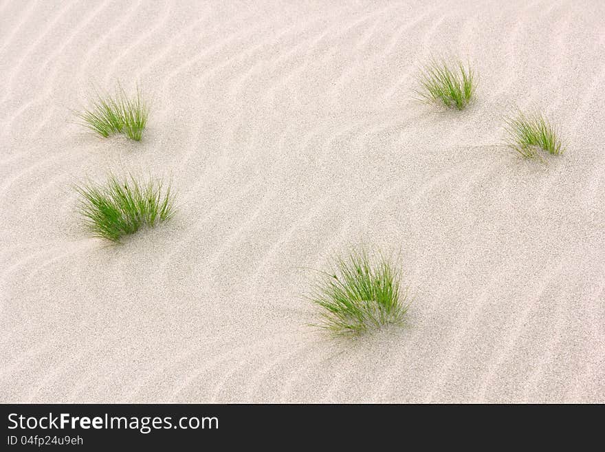 Small Glass On Sand