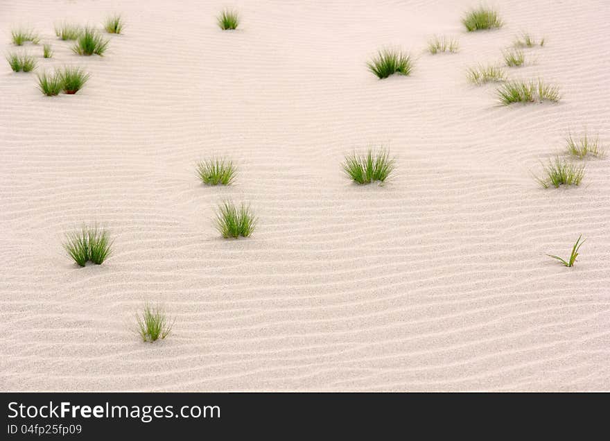 Small Glass On Sand