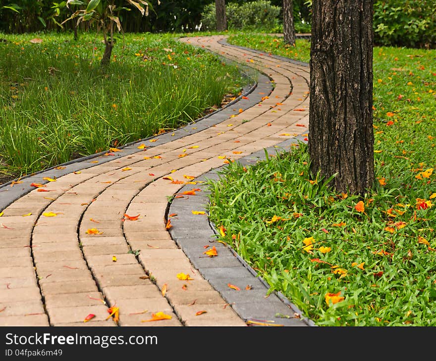 Walk path in public park in Bangkok. Walk path in public park in Bangkok