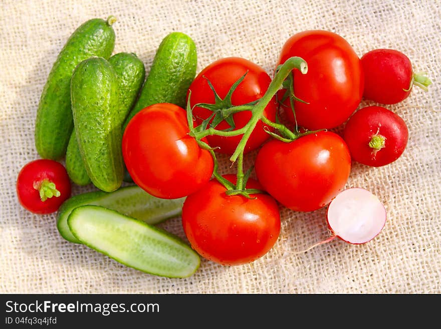 Cucumbers, tomatoes and radishes. Harvest. Cucumbers, tomatoes and radishes. Harvest