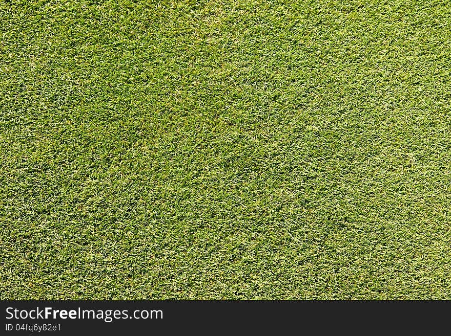 Patch of a putting green on a golf course to be used as background