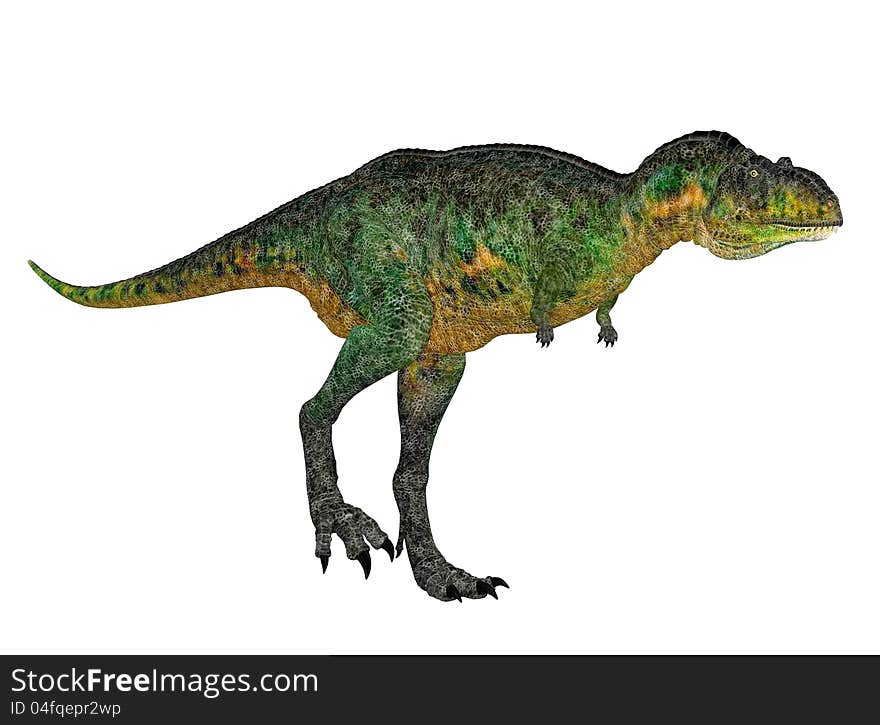 Illustration of a Aucasaurus (dinosaur species) isolated on a white background