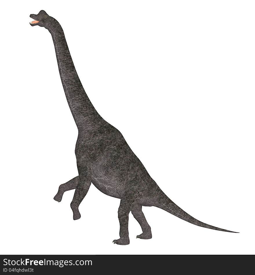 Illustration of a Brachiosaurus (dinosaur species) isolated on a white background