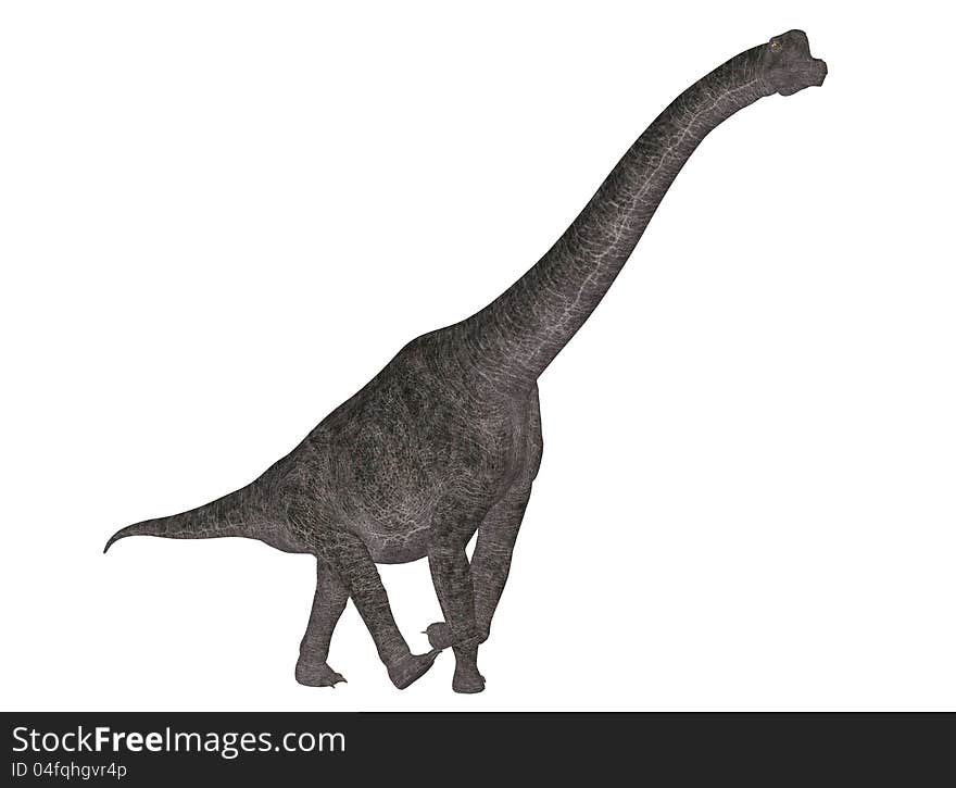 Illustration of a Brachiosaurus (dinosaur species) isolated on a white background