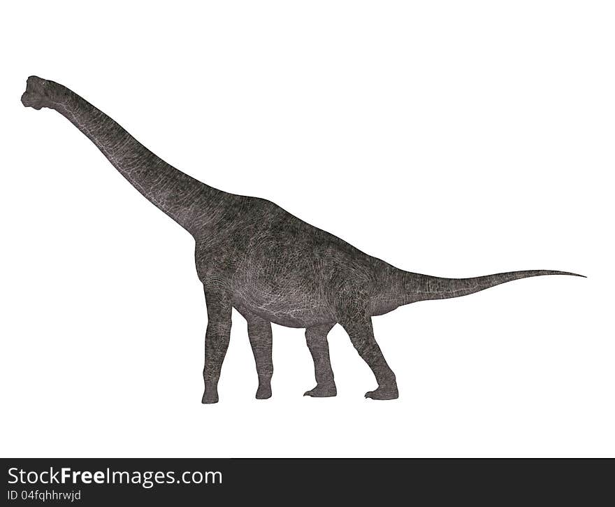 Illustration of a Brachiosaurus (dinosaur species) isolated on a white background