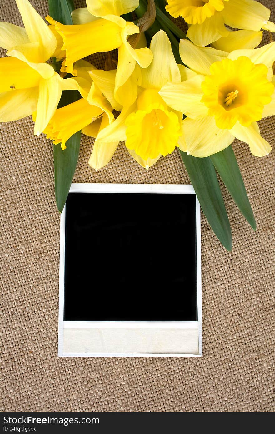 Photo frame with yellow daffodils