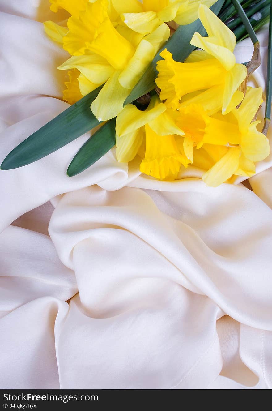 Yellow daffodils in the silk