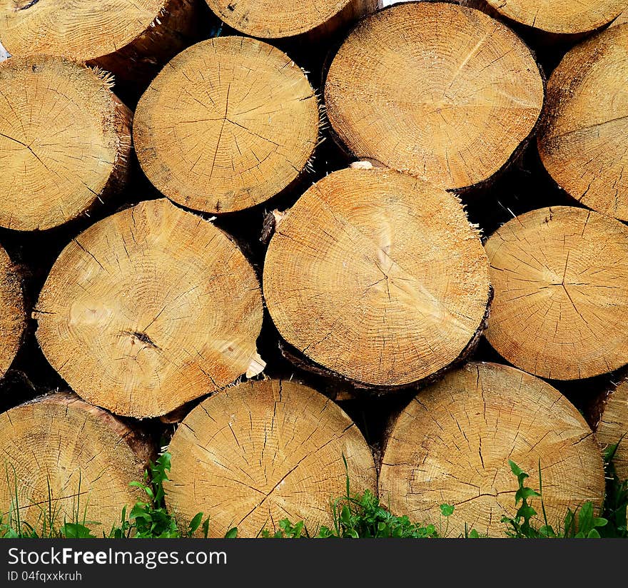 Several felled logs lying on green grass. Several felled logs lying on green grass