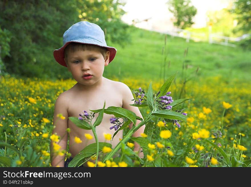 Little, white boy wearing blue cap plays between flowers of the meadow. Little, white boy wearing blue cap plays between flowers of the meadow