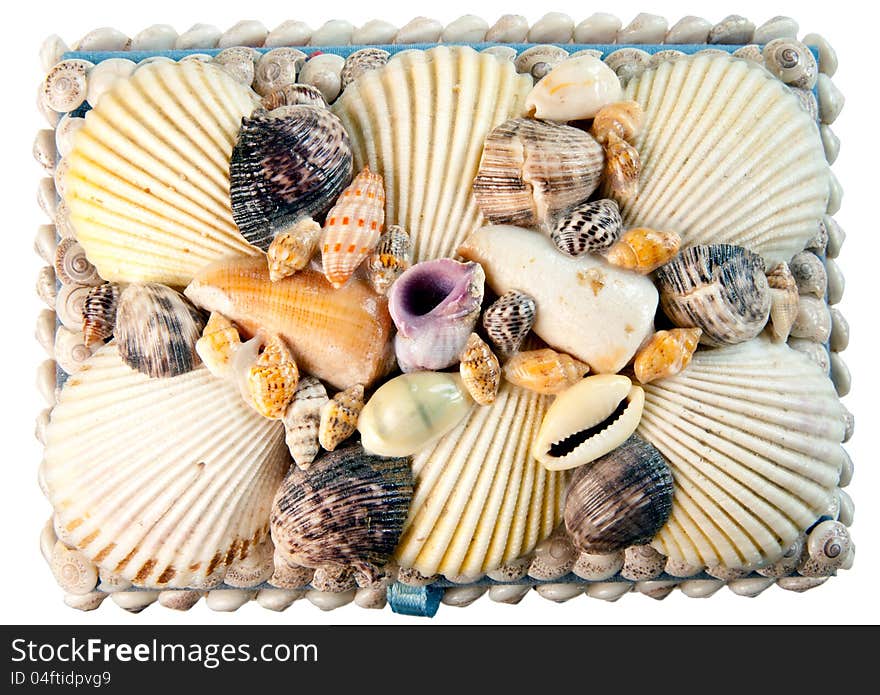 Shells