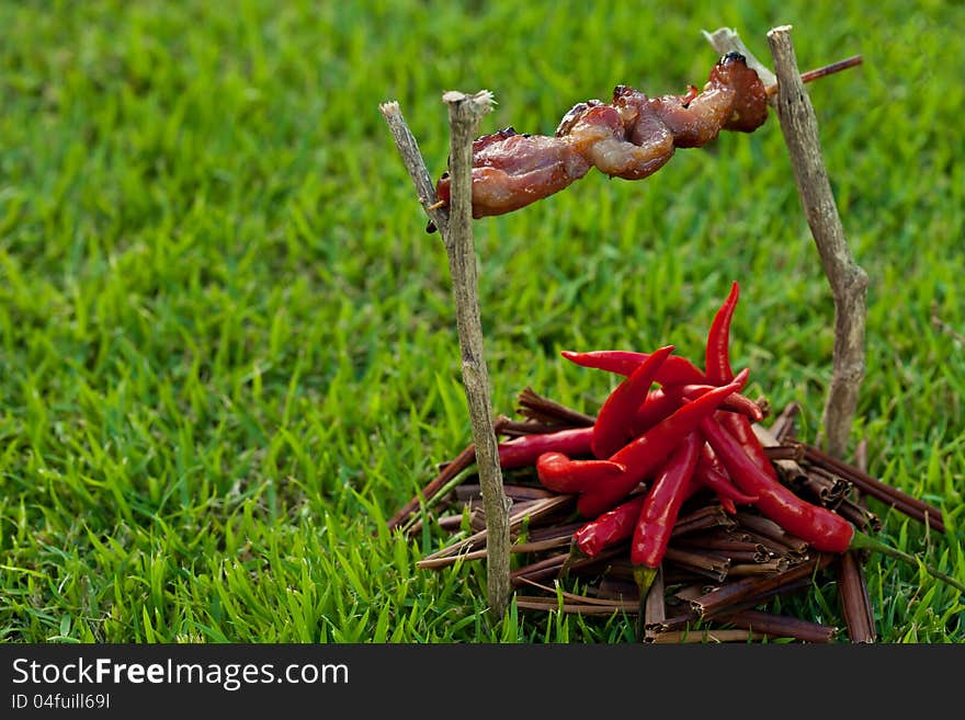 Barbecue On A Stick With Red Pepper, Depicting The