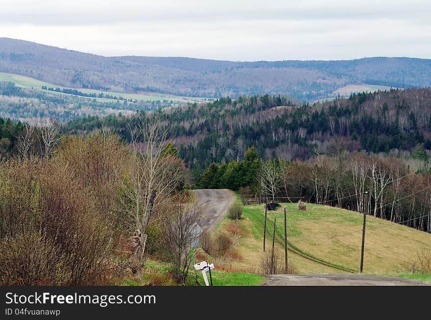 Valley in the Spring