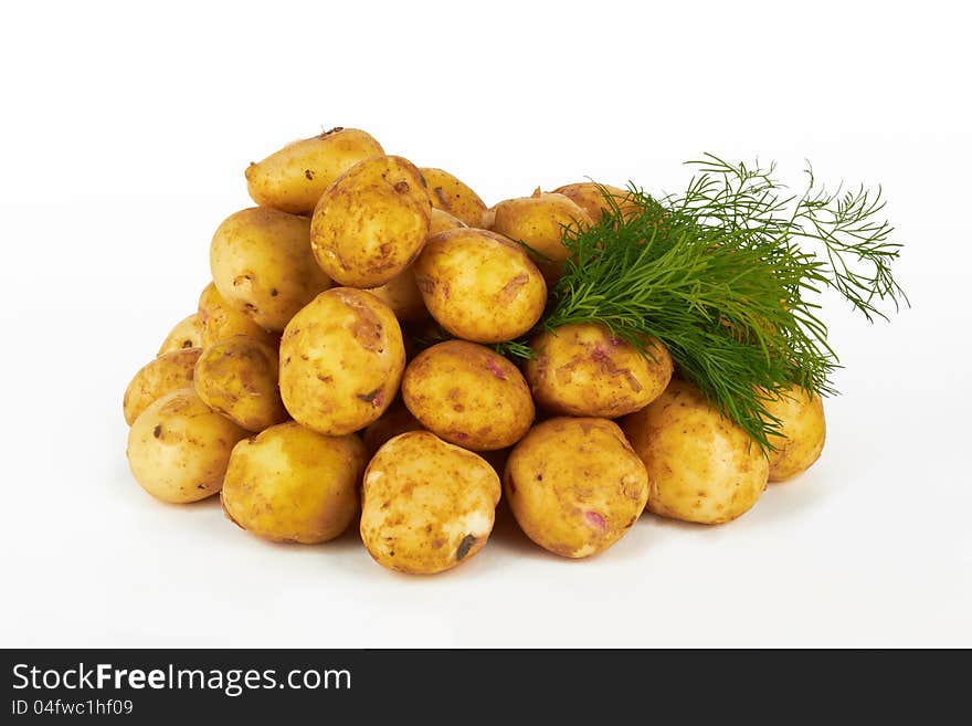 Bunch of potatoes on white background close up shoot