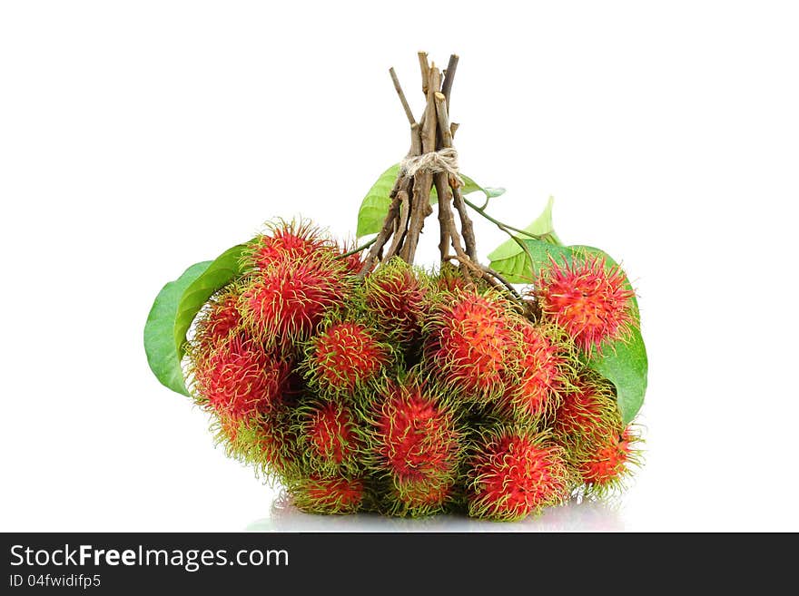 Popular Tropical Fruit : A bunch of freshly picked Rambutan,  on white background