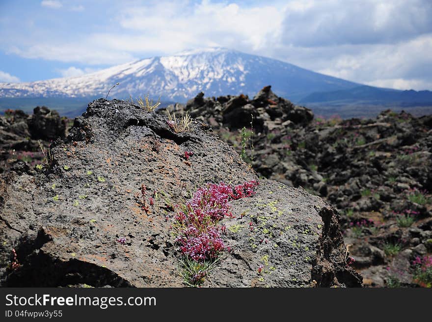 Volcano Etna.